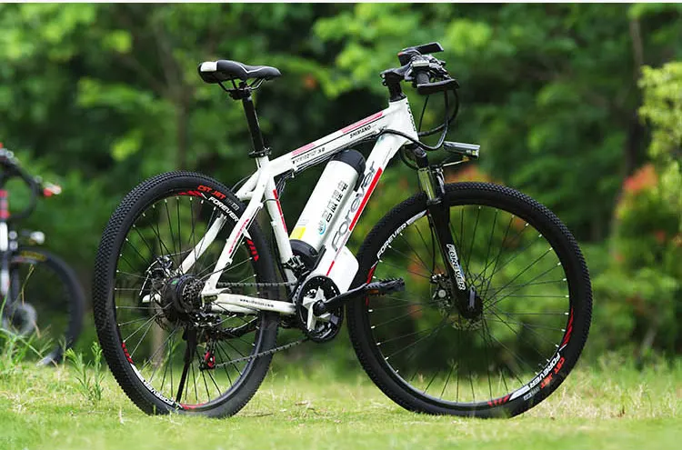 Flash Deal Original X-Front brand 48V 500W 20A Lithium Battery Mountain Electric Bike 27 Speed Electric Bicycle downhill Cycling ebike 11 Flash Deal Original X-Front brand 48V 500W 20A Lithium Battery Mountain Electric Bike 27 Speed Electric Bicycle downhill Cycling ebike 11