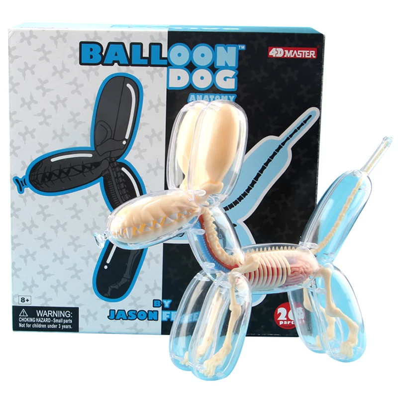 

Super 4D Master Transparent Balloon Dog Puppy Anatomy Skull Assemby Puzzle Modle Action Figure Craft Children Gift 25cm mkd3