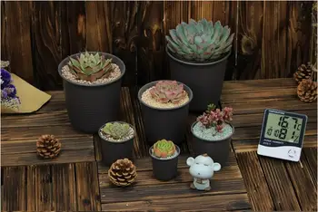 

20pcs/lot,Vientiane fat scrub pots.plastic pots.meat pot.Succulent plants flowerpot,garden supplies