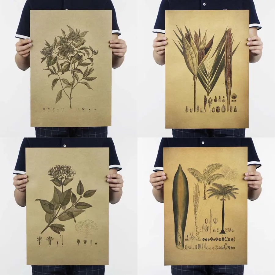 Plants Chart Posters