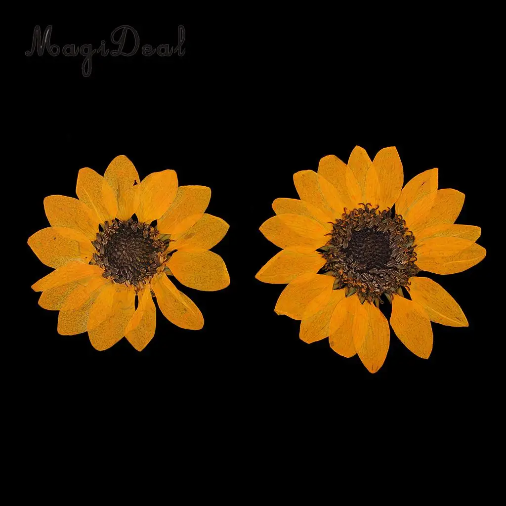 6 Pieces Pressed Natural Real Dried Flowers Sunflower for DIY Resin Ornament Craft Christmas Xmas Card Making Decoration