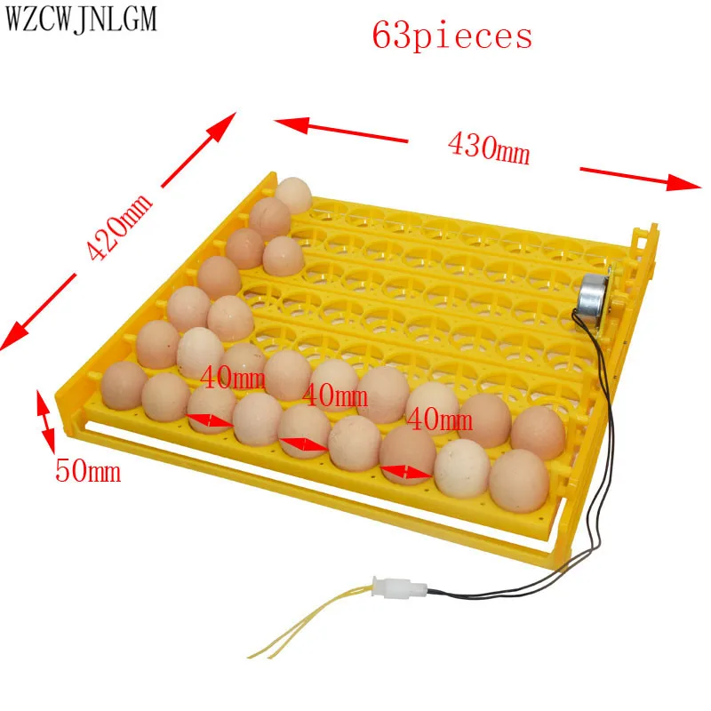 63 Birds Eggs Incubator Tools Quail Pigeon Parrot And Other Birds Automatically Turn The Eggs Incubator Equipment220v-110v 1pcs 63 Birds Eggs Incubator Tools Quail Pigeon Parrot And Other Birds Automatically Turn The Eggs Incubator Equipment220v-110v 1pcs