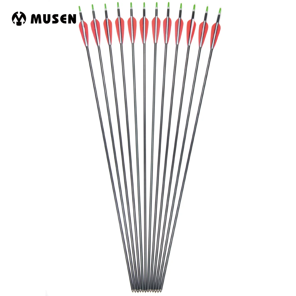 

6/12/24pcs 31" Archery Aluminum Arrows with Plastic Feather,Hunting & Practice Archery for 40-70lbs Compound&Recurve Hunting Bow