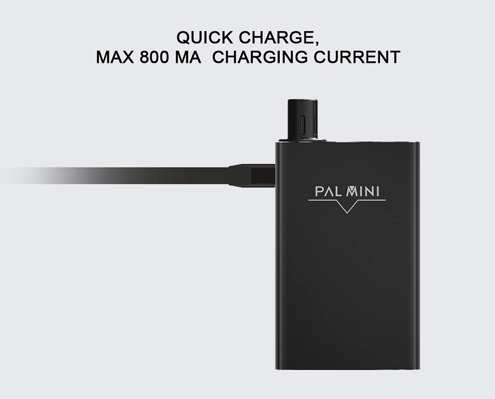 ARTERY PAL Mini (10)