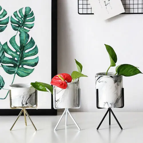 

2019 Mini Plastic Flower Pot Green Cactus Succulent Plant Flowerpot For Garden Home Office Decor HOT