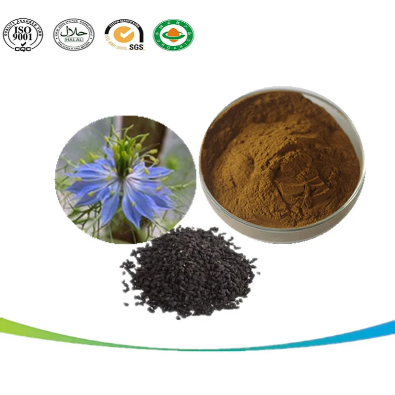 

Factory Supply best price 10:1 Nigella Sativa Powder L Black Cumin Extract