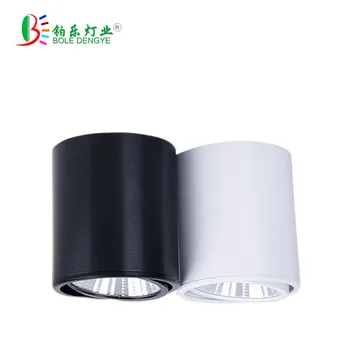 

Surface Mounted LED Downlight 5W 10W COB LED ceiling Downlight AC110V/220V spot light with led driver Black White