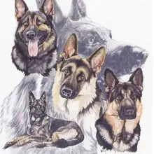 5D DIY Вышивка бисером, животное немецкая овчарка Собака ПЭТ на заказ Алмазная картина вышивка крестиком, 3D, Алмазная мозаика, наклейки на стену