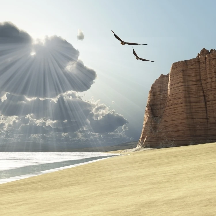 Sunlight shines down on two birds flying near a cliff by the ocean Poster Print (16 x 12)
