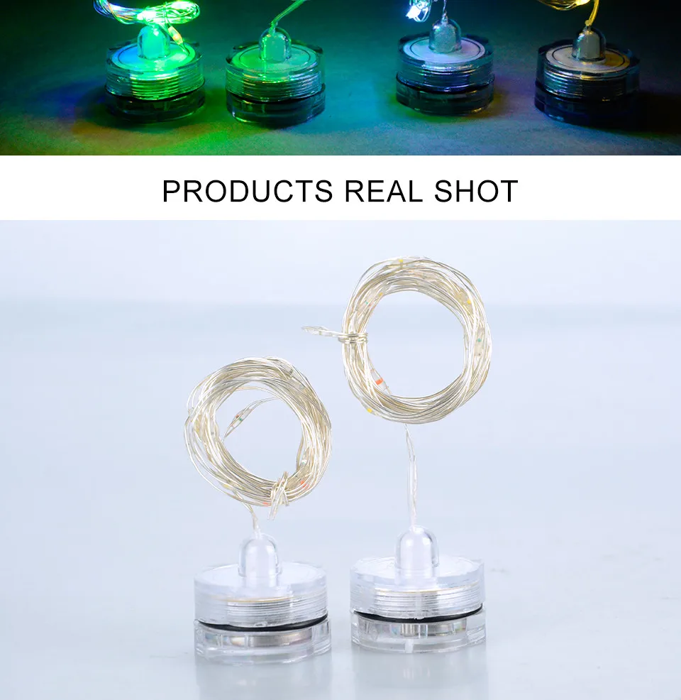 LED Holiday String Light9