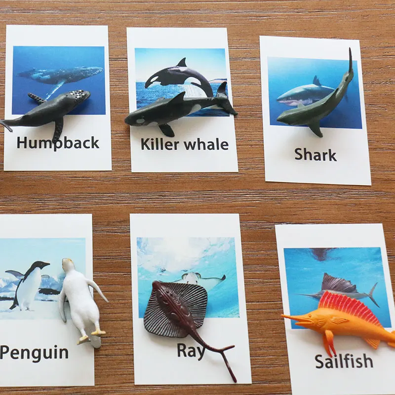 Montessori Toys For 3 Year Olds Marine Animals Educational Early Learning Toys For Children Birthday Gift MJ1364H