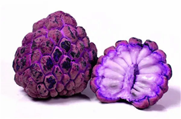 

20 Pcs Soursop Bonsai Fruit, Graviola Annona Muricata Sweetsop Delicious Fruit Bonsai Sugar Apple Annona Tree Plant In Bonsai