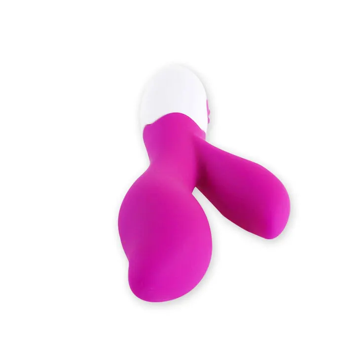 DG-004 (3)