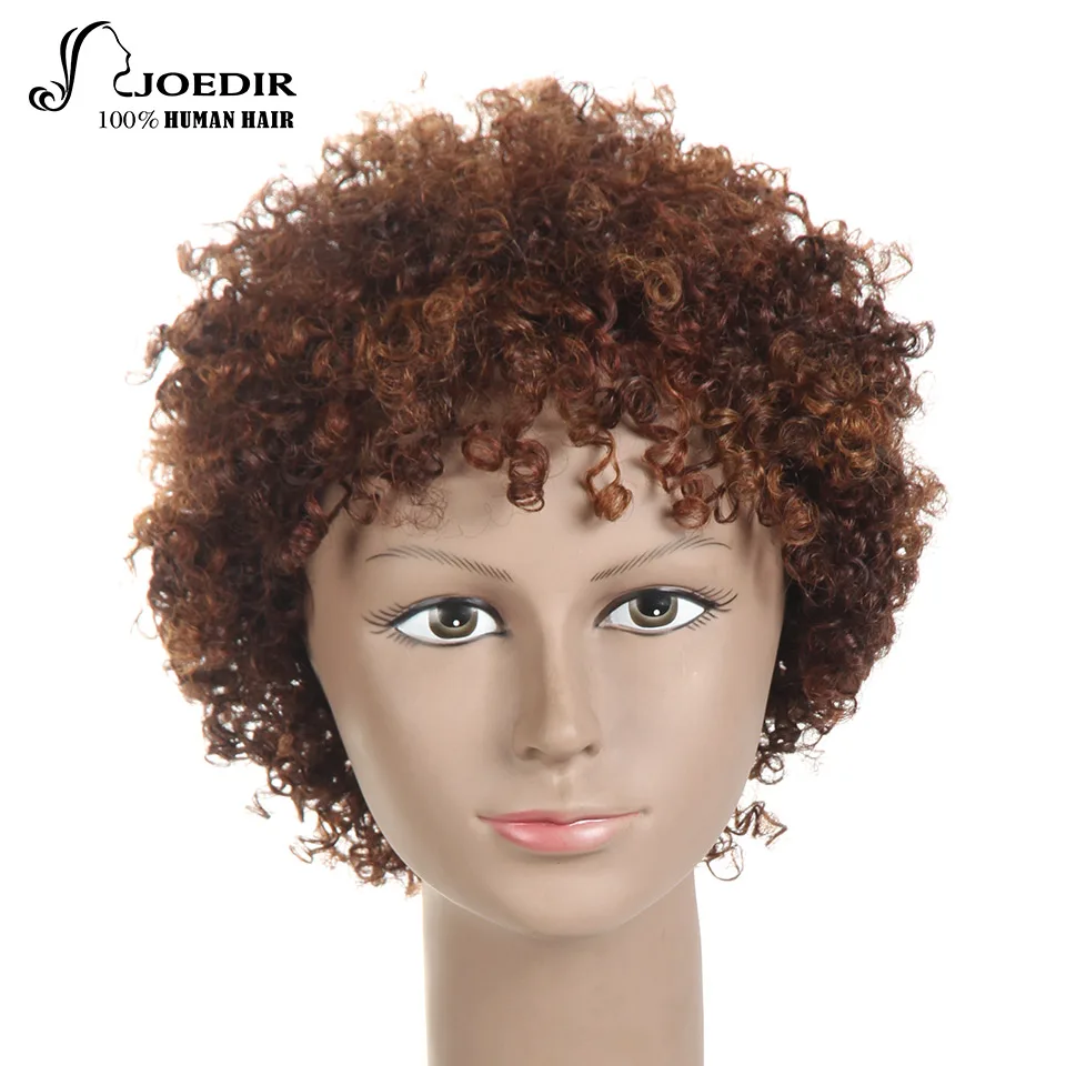 Joedir Wigs For Women Remy Barzilian Afro Kinky Curly Hair 100 Human