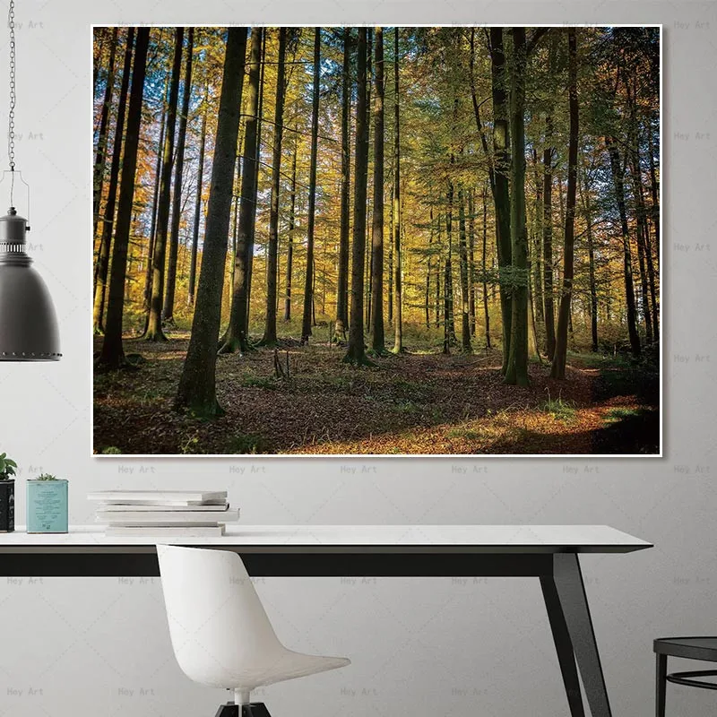 Wall Pictures for Living Room Sunrise Landscape Canvas Print Forest Painting Frameless Printing Modern Art Poster