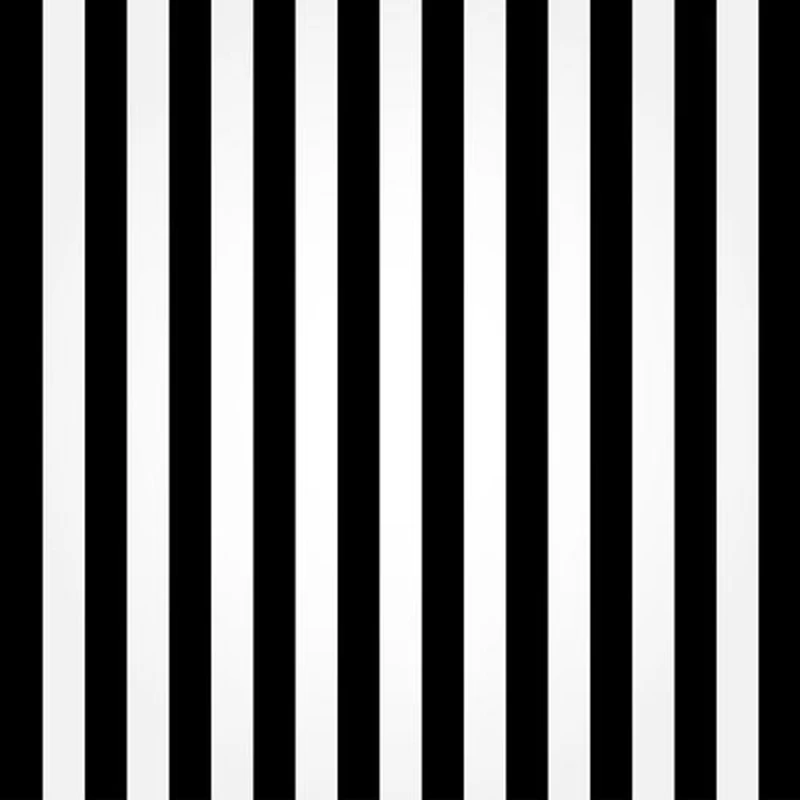 6x6ft Fotografia Backdrops Vinil Fundo Listrado Preto E Branco Para A