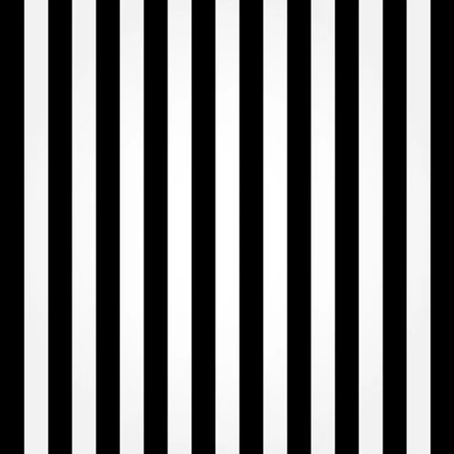 6x6ft photography backdrops vinyl black and white striped background