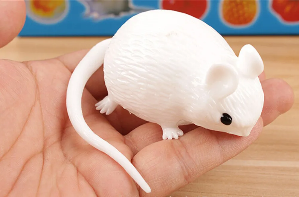 FAY70728104_20170728035910583