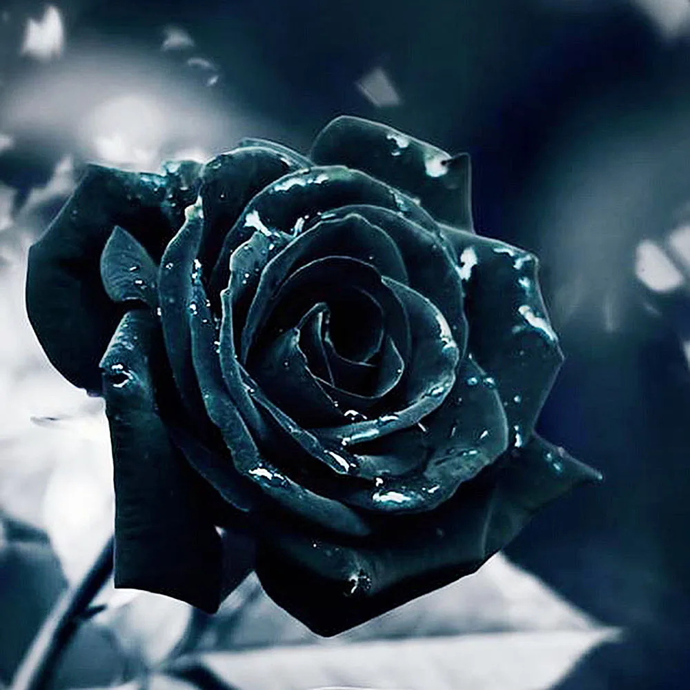 

DIY 5D Full Diamond Painting Cross Stitch Painting Black Rose Diamond Embroidery Needlework Patterns Rhinestone kits