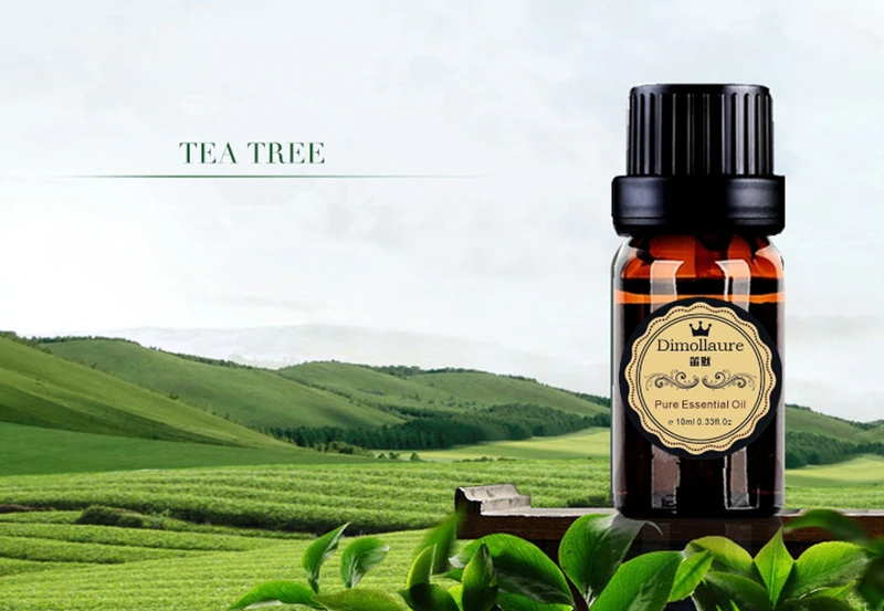 Jual Dimollaure Tea Pohon Murni Esensial Minyak Aromaterapi Minyak Atsiri Perawatan Kulit Pijat Minyak Wangi Lampu Minyak Pohon Teh