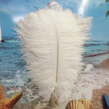 

Wholesale price beautiful 10pcs high quality white ostrich feather 14-16inches / 35-40cm Variety of decorative