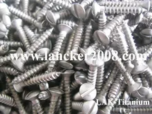  M2.9*16.5 Gr2 Slotted raised countersunk head  titanium self-tapping screw 