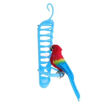 

Parrot Feeder Plastic Basket Fruit Vegetable Feeding Perch Birds Parakeet Cage Accessories Bird Supplies C42