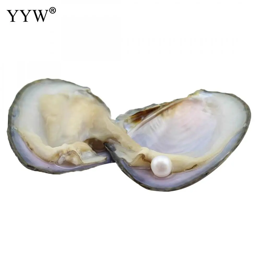 

100% Real Freshwater Cultured Love Wish Pearl Oyster 7-8mm One Pearl Oyster One Pearl Jewelry For Lucky Wedding Birthday Gift