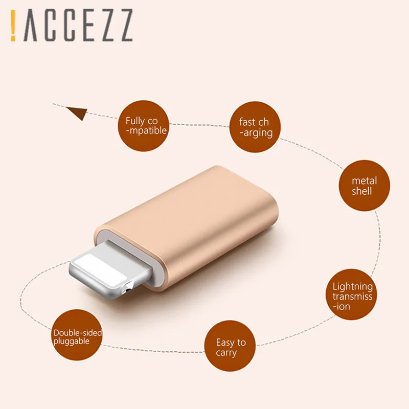 ACCEZZ Портативный Micro USB для освещения для Apple адаптеры для iphone X XS XR 6 7 5 Plus синхронизация зарядное устройство OTG мини конвертер для ipad