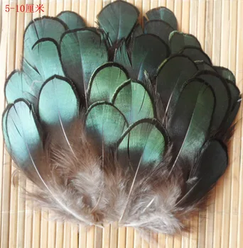 

P-021 Free Shipping 200pcs/lot 5-10cm Lady Amherst Bronze Plumage dark green Amherst pheasant feather for sale