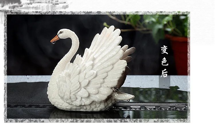 爱情天鹅_10