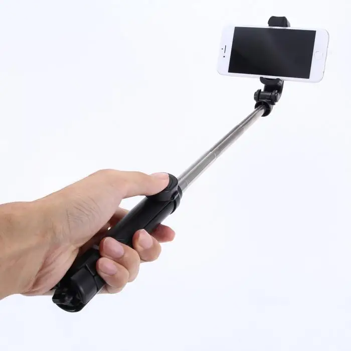 Paus de selfie