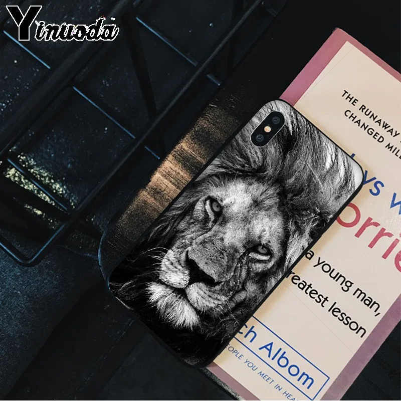 Animals The lion