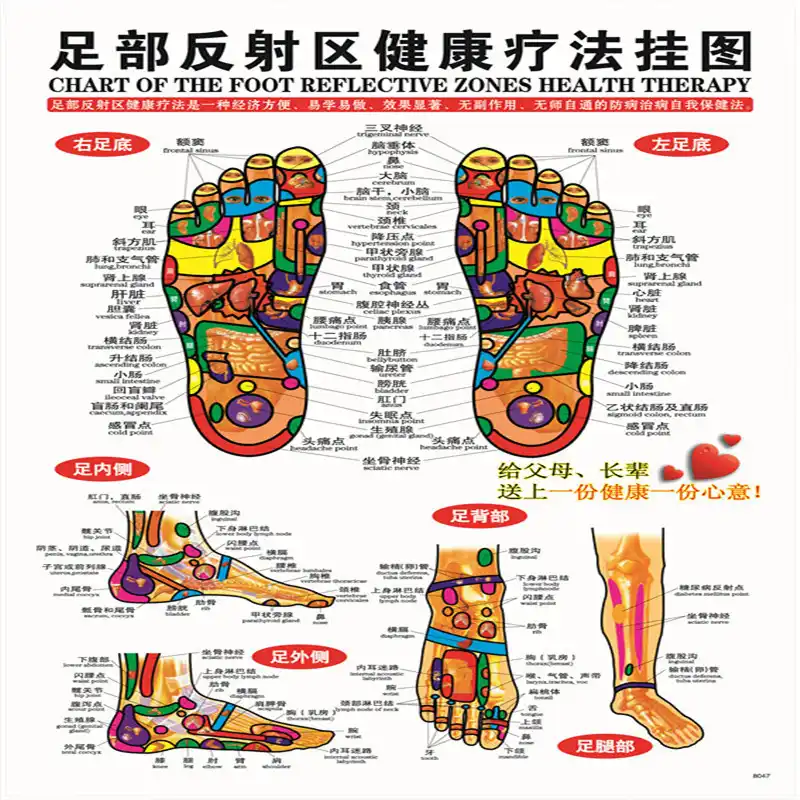 7pcs Set Acupuncture Massage Point Map Chinese English Meridian Acupressure Points Posters Chart Wall Map For Medical Teaching Aliexpress 7pcs Set Acupuncture Massage Point Map Chinese English Meridian Acupressure Points Posters Chart Wall Map For Medical Teaching Aliexpress