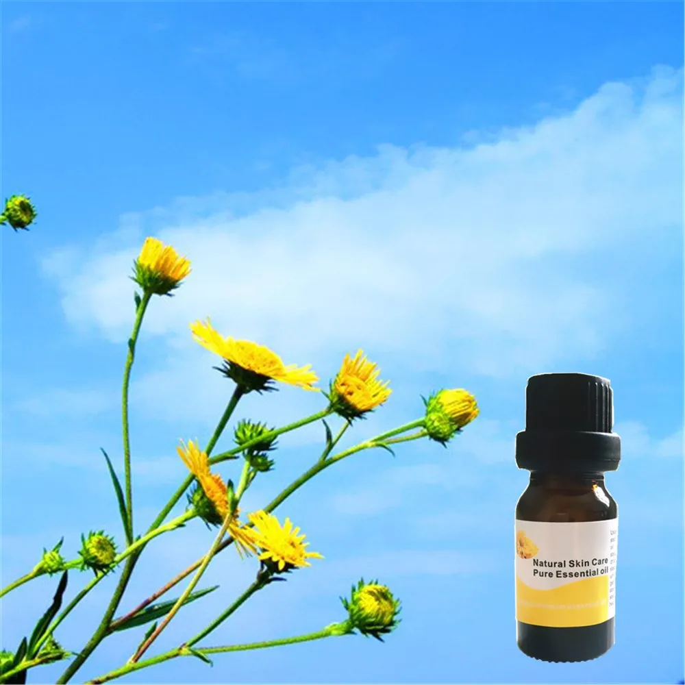 Chrysanthemum Slimming Firming essential oil 10ml Potent Effect Lose
