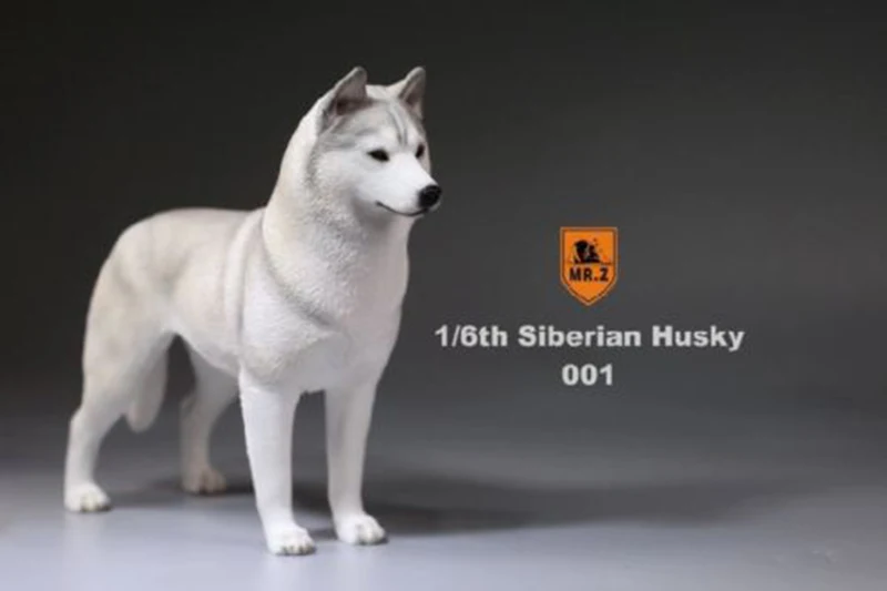 1/6 масштабная модель собаки сибирской хаски немецкая овчарка с воротником аниме статуя для 12 дюймов Коллекция аксессуаров для экшн-фигурок - Цвет: 001