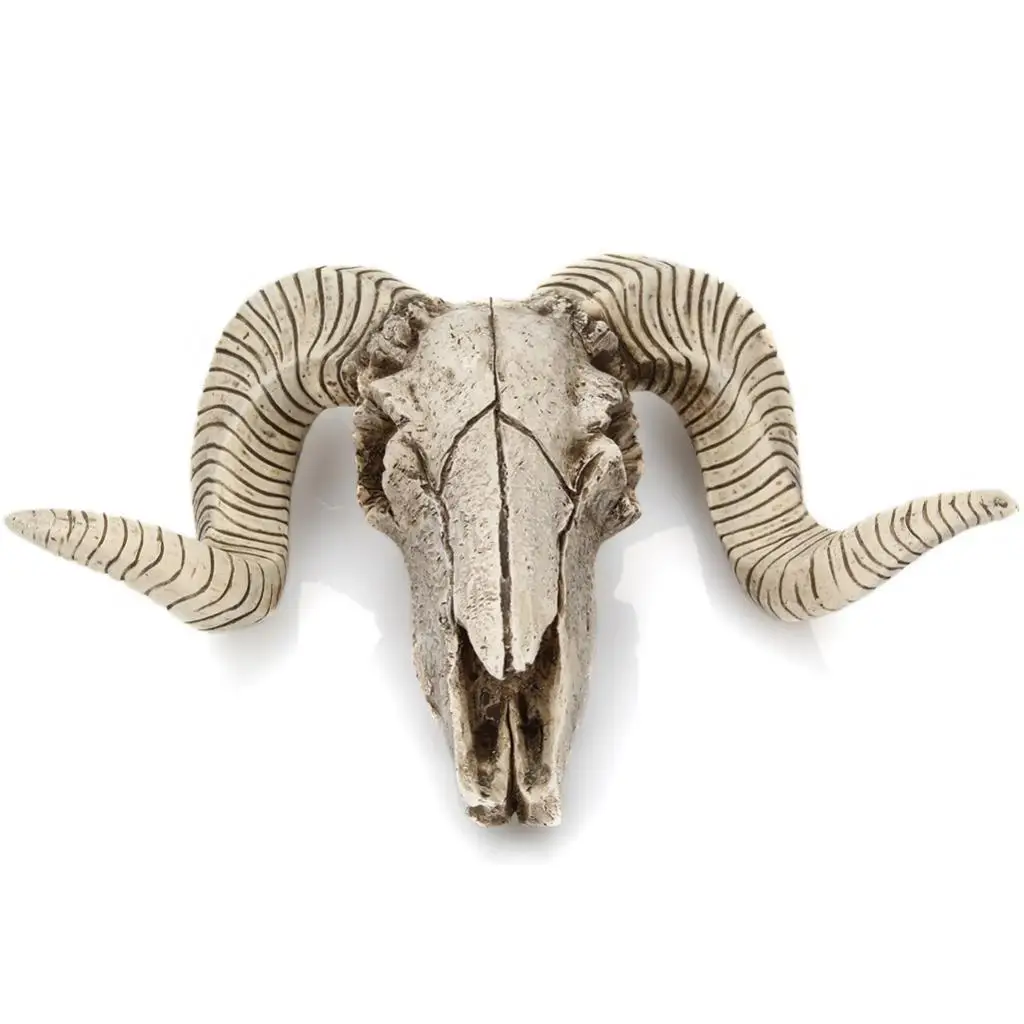Wall Mounted Animal Head Garden Resin Decor Skull Sheep's Head
