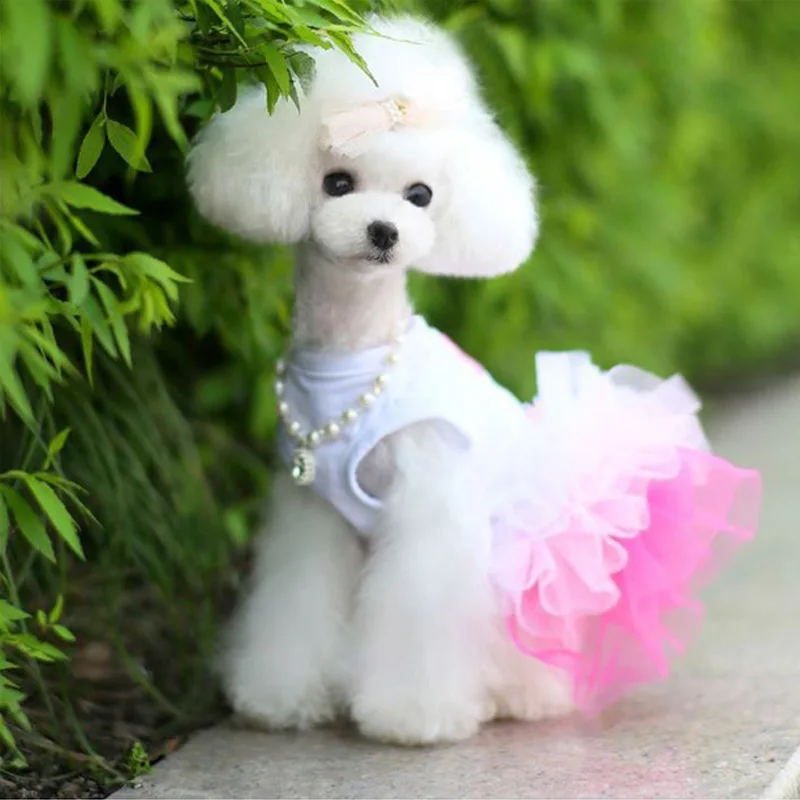 Одежда для собак; кружевная классическая юбка с галстуком; милое платье принцессы для собак; 6 видов аксессуаров для собак; платье для маленьких и средних собак из хлопка