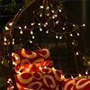 ECLH-guirlande lumineuse féerique, guirlande lumineuse, LED étanche boules, 3M, 5M 10M, USB, décoration de mariage, noël, éclairage d'extérieur ► Photo 3/6