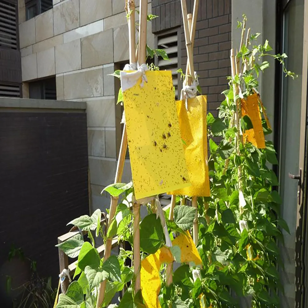 

3Pcs Strong Flies Traps Bugs Sticky Board Catching Aphid Insects Pest Killer Dropshipping PJ0725