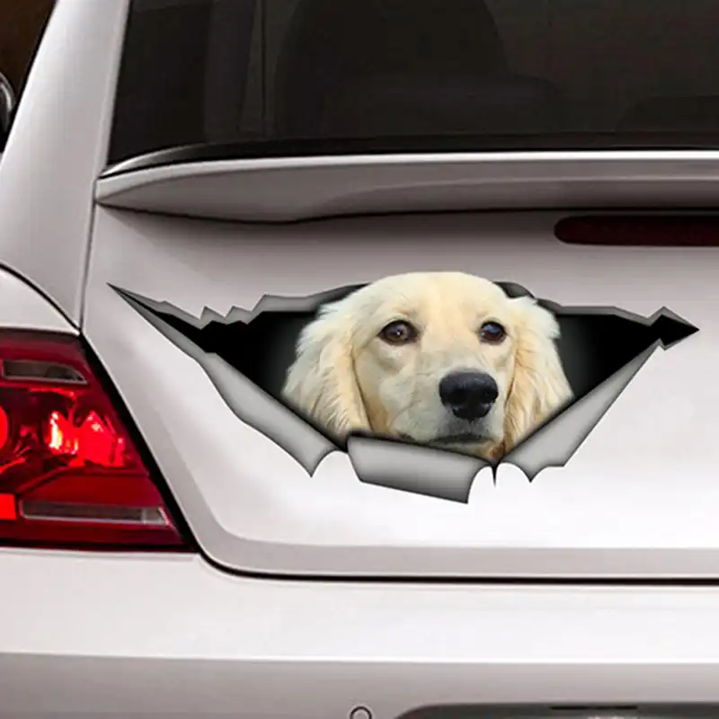 Earlfamily 13cm X 5 1cm White Long Haired Dachshund Car Sticker