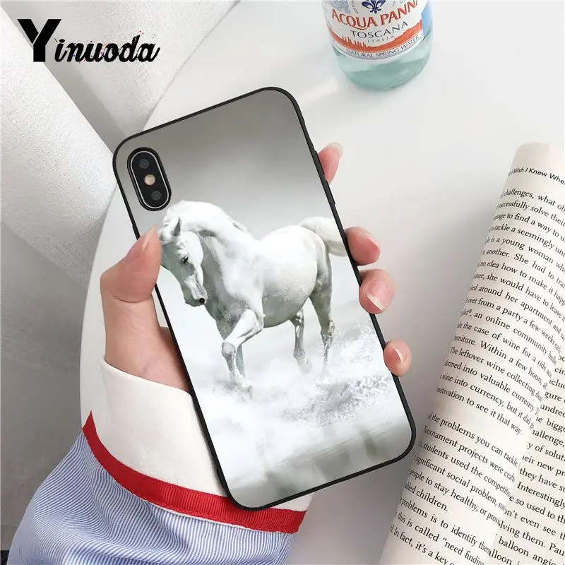 Animal Horse