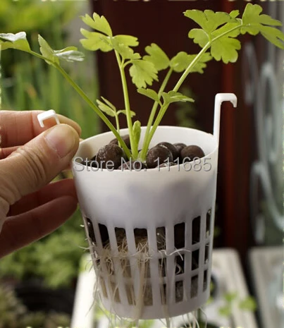 

Free Shipping 50Pcs Deep 80mm Oval With Hook Fixed Net Planting Pot Basket Hydroponic Plants Grow Systems Flowers Fitted