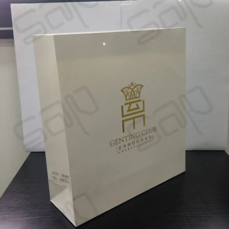 

Customized New Luxury Fancy Design Logo Printed Paper Bags Fahion Cosmetic Shopping Paper Bag (SAP-CPB006)