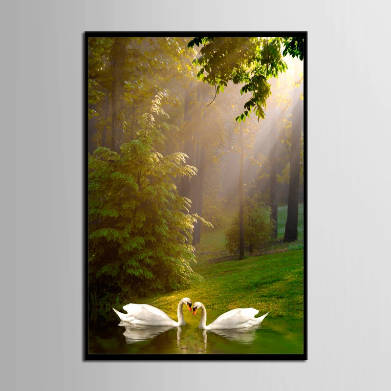 

TOP SALE 1Pcs Artist Canvas Simple modern swan series Canvas Prints Wall Pictures for Living Room Picture(No Framed)