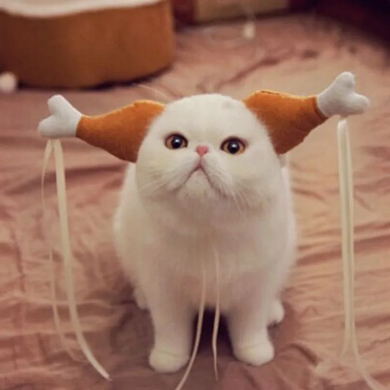 Animaux Chat Chien Belle Coiffure Chiot Chaton Drole Poulet Jambes Pince A Cheveux Accessoires Cheveux Cerceau Interactif Pet Accessoire Fournitures Aliexpress Animaux Chat Chien Belle Coiffure Chiot Chaton Drole Poulet Jambes Pince A Cheveux Accessoires Cheveux Cerceau Interactif Pet Accessoire Fournitures Aliexpress