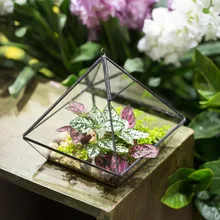 15.7cm Hanging Vertebral Glass Geometric Terrarium Planter Bonsai Landscape jewlery Box Handmade Wall Hanging Decor Flower Pot