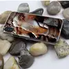 Mobile Phone Accessories