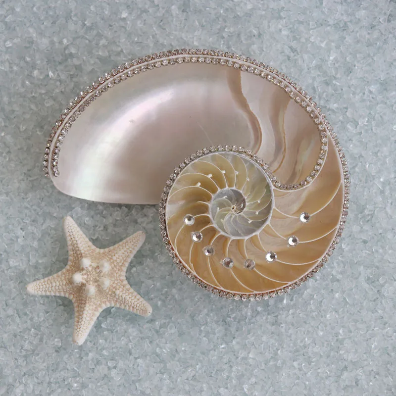 Украшения из морских ракушек. Необычные украшения. Ювелирные украшения из ракушек. Необычная бижутерия. Двустворчатые моллюски жемчуг.