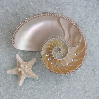 

Free Shipping(1pcs/set)Custom Handmade Natural Diamond Nautilus Beach Wedding&Party&Holiday&Christmas Decor Party Favors